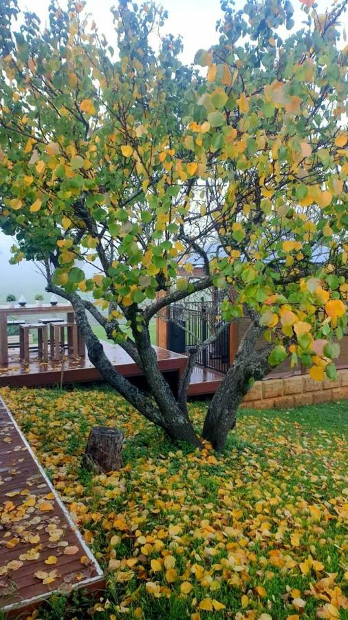 Blackwood Valley Suites Балінгап Екстер'єр фото